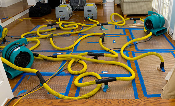 Professional Storm Water Damage Restoration technician working in Everson, WA